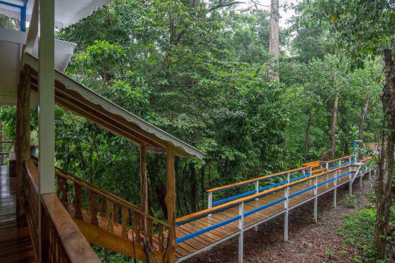 Blue Maverick Retreat - Secluded Nature Escape - 4Wd Access Required Cocles Exterior photo